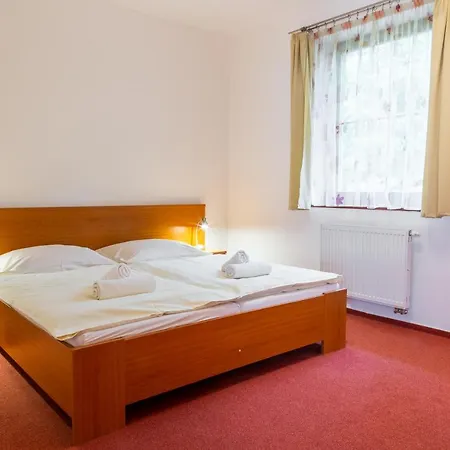 Snezienka Vysoké Tatry